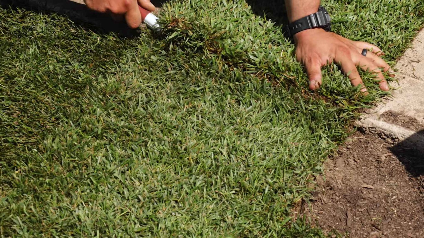 Professional lawn care and sod installation in Alhambra, CA